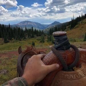 Meet your Posher, Taylor